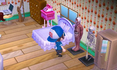 An anatomical model and a skeleton.