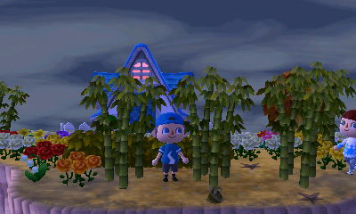 Madisyn's house hidden among the bamboo.