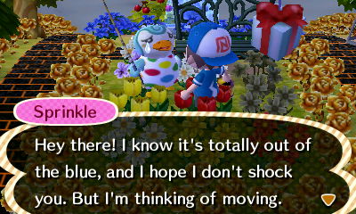 Sprinkle: Hey there! I know it's totally out of the blue, and I hope I don't shock you. But I'm thinking of moving.