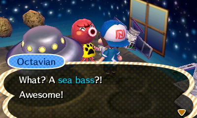 Octavian: What? A sea bass?! Awesome!