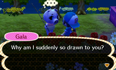 Gala: Why am I suddenly so drawn to you?