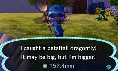 I caught a petaltail dragonfly! It may be big, but I'm bigger!