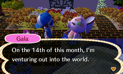 Gala: On the 14th of this month, I'm venturing out into the world.