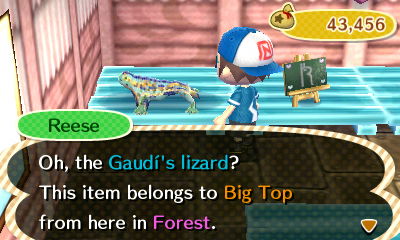 Reese: Oh, the Gaudi's lizard? This item belongs to Big Top from here in Forest.