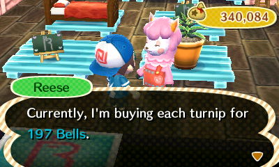 Reese: Currently, I'm buying each turnip for 197 bells.