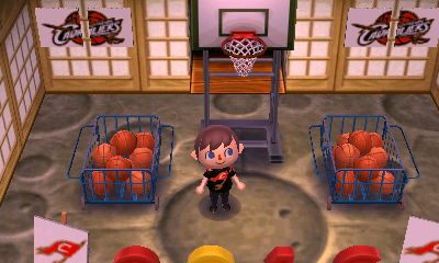 A lunar surface and shoji screen.