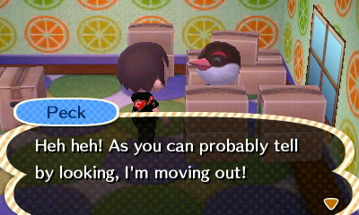 Peck: Heh heh! As you can probably tell by looking, I'm moving out!
