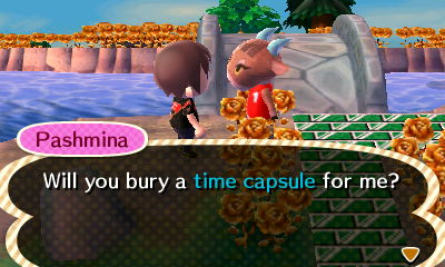 Pashmina: Will you bury a time capsule for me?