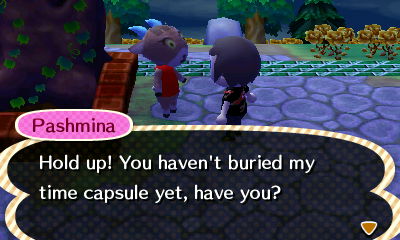 Pashmina: Hold up! You haven't buried my time capsule yet, have you?