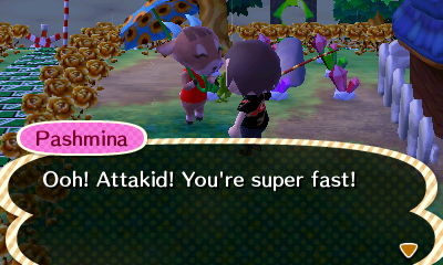 Pashmina: Ooh! Attakid! You're super fast!