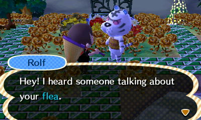 Rolf: Hey! I heard someone talking about your flea.
