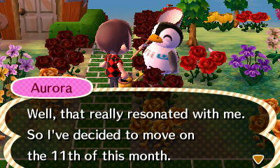 Aurora: Well, that really resonated with me. So I've decided to move on the 11th of this month.