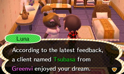 Luna: According to the latest feedback, a client named Tsubasa from Greenvi enjoyed your dream.