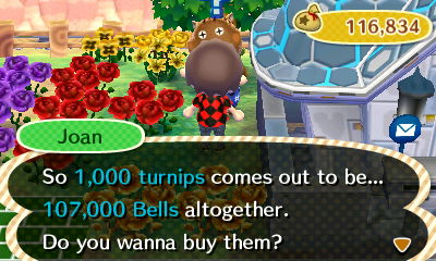 Joan: So 1,000 turnips comes out to be 107,000 bells altogether. Do you wanna buy them?