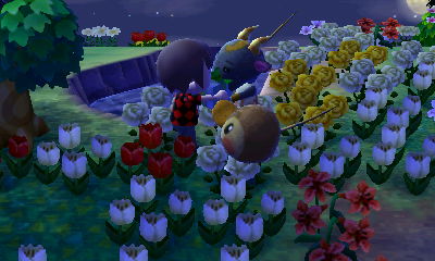 Getting an item from Nan.