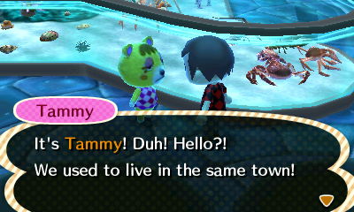 Tammy: It's Tammy! Duh! Hello?! We used to live in the same town!