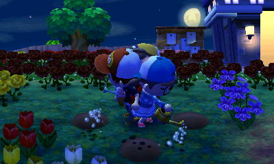 Watering the holes in the ground.