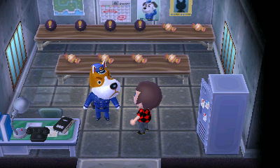 The Lost and Found full of pitfall seeds and candy.