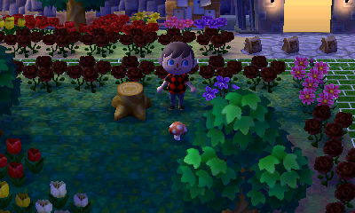 Spotting a famous mushroom on the ground.