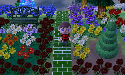 My round topiary!