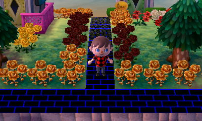 My blue/black brick path.