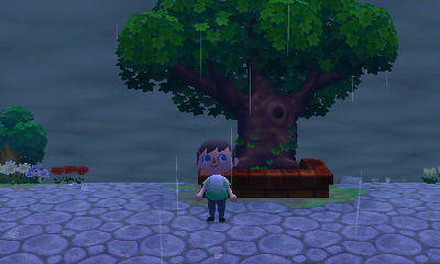 The Forest town tree after one year.