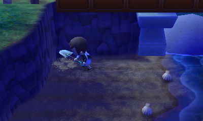 Burying a pitfall on my private beach.