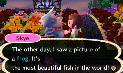 Skye: The other day, I saw a picture of a frog. It's the most beautiful fish in the world!