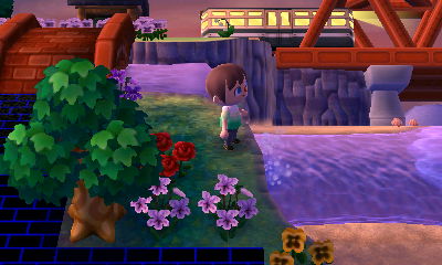 The train crossing the bridge.