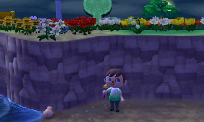 Looking up at my topiary and the moon.