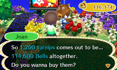 Joan: So 1,200 turnips comes out to be... 111,600 bells altogether. Do you wanna buy them?