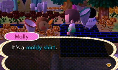 Molly: It's a moldy shirt.