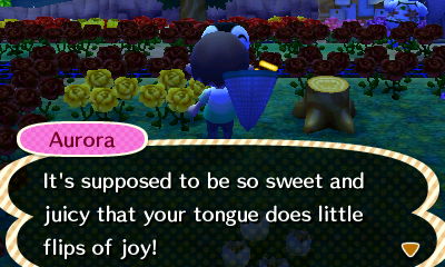 Aurora: It's supposed to be so sweet and juicy that your tongue does little flips of joy!