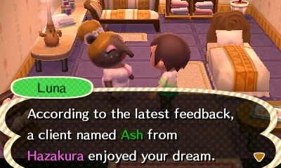 Luna: According to the latest feedback, a client named Ash from Hazakura enjoyed your dream.