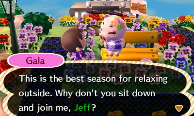 Gala: This is the best season for relaxing outside. Why don't you sit down and join me, Jeff?