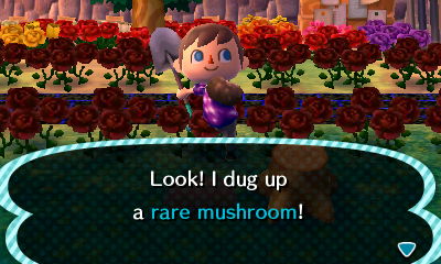 Look! I dug up a rare mushroom!