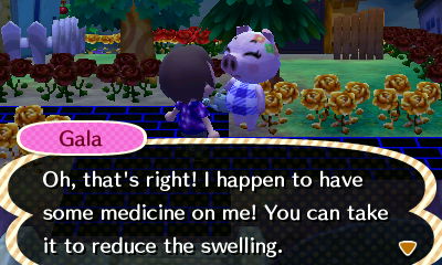Gala: Oh, that's right! I happen to have some medicine on me! You can take it to reduce the swelling.