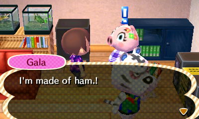 Gala: I'm made of ham!