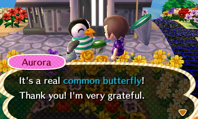 Aurora: It's a real common butterfly! Thank you! I'm very grateful.