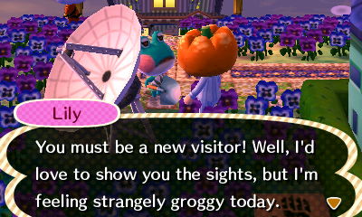 Lily: You must be a new visitor! Well, I'd love to show you the sights, but I'm feeling strangely groggy today.