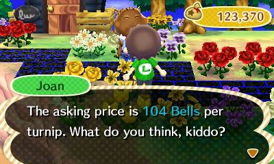 Joan: The asking price is 104 bells per turnip. What do you think, kiddo?