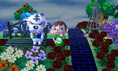 Rolf sleeping on the bench.