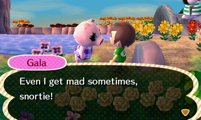 Gala: Even I get mad sometimes, snortie!