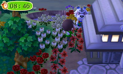 Rolf hiding behind town hall.