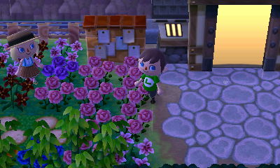 Visiting Stacie in St. Pete.