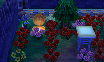 The open entrance to the Reset Center.