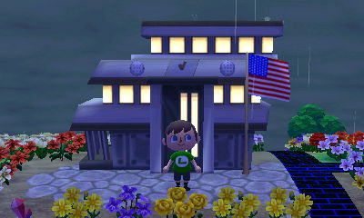 My American flag at town hall.
