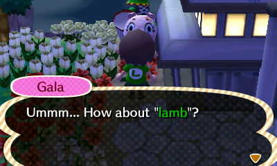 Gala: Ummm... How about lamb?