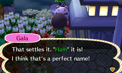 Gala: That settles it. Ham it is! I think that's a perfect name!