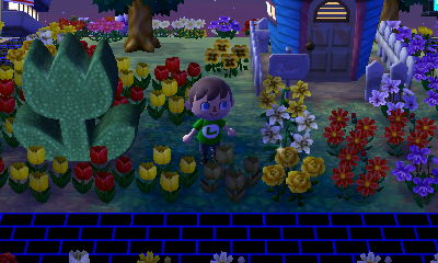 The tulip topiary and Dotty's house.